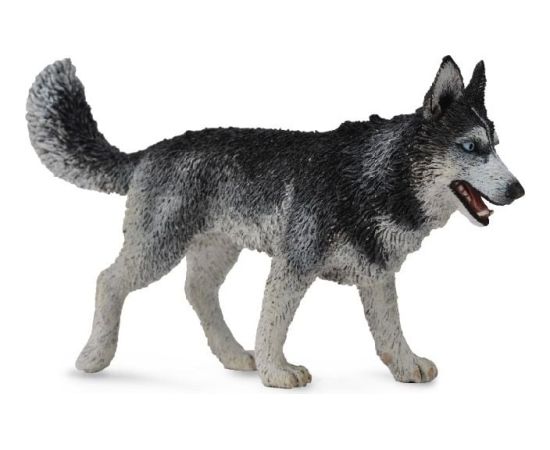 Figurka Collecta Pies rasy Syberian Husky (004-88707) Figūriņas un varoņi