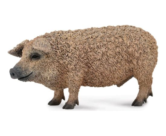 Figurka Collecta Świnia Mangalica (004-88674) Фигурки и герои