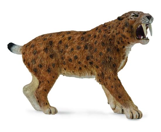 Figurka Collecta Dinozaur Smilodon (004-88715) Figūriņas un varoņi