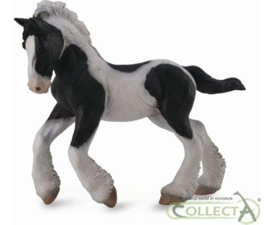 Figurka Collecta Koń rasy Tinker - Źrebię maści srokatej (004-88770) Figūriņas un varoņi