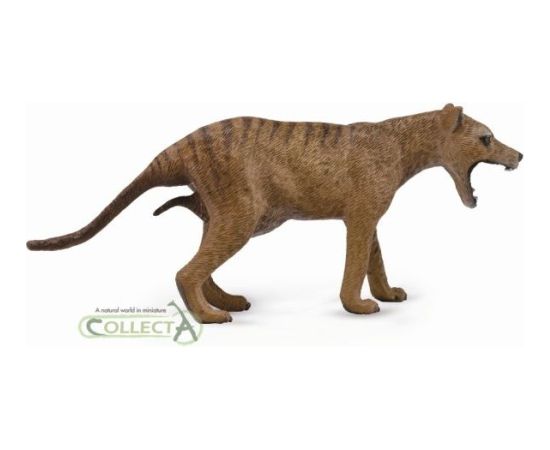 Figurka Collecta Wilk workowaty - tasmański, samica (004-88767) Figūriņas un varoņi