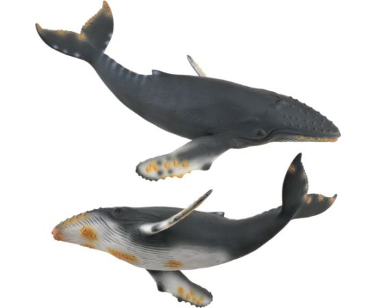 Figurka Collecta Wieloryb Humbak (004-88347) Figūriņas un varoņi