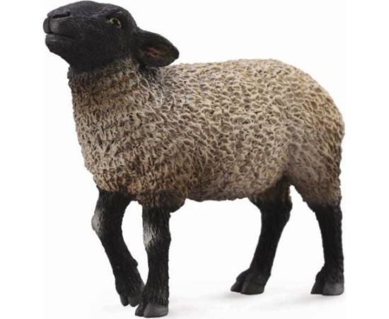Figurka Collecta Owca Suffolk (004-88636) Figūriņas un varoņi