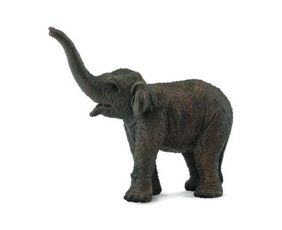 Figurka Collecta Słoniątko azjatyckie (004-88487) Figūriņas un varoņi