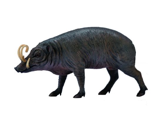 Figurka Collecta Figurka - Babyrousa (004-88727) Figūriņas un varoņi