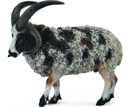 Figurka Collecta Owca wielkoroga (004-88728) Figūriņas un varoņi