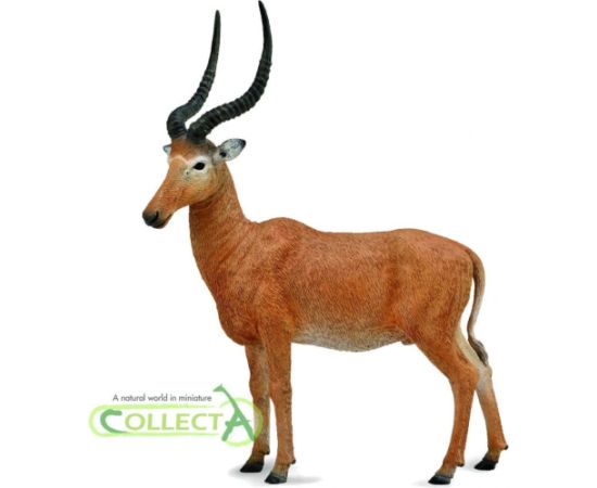 Figurka Collecta Figurka - Hirola (004-88757) Figūriņas un varoņi