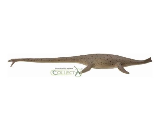 Figurka Collecta Dinozaur Thalassomedon 1:40 (004-88760) Figūriņas un varoņi