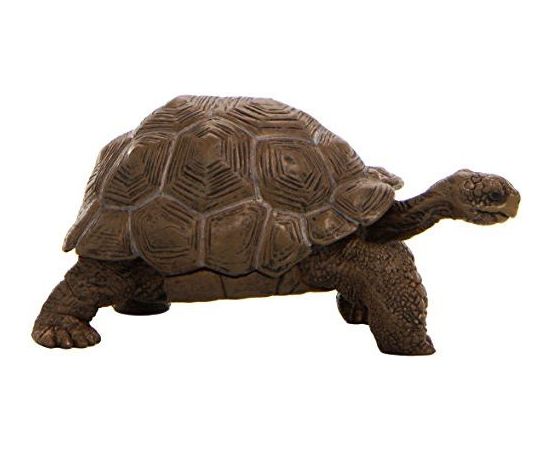 Russell Hobbs Figurka Russell Żółw z Galapagos (50161) Figūriņas un varoņi