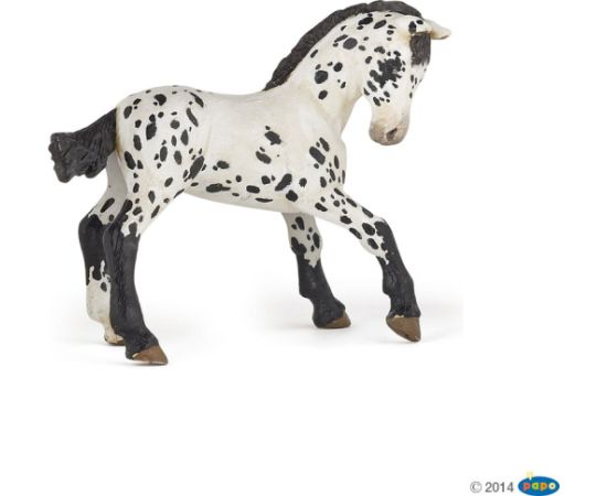 Russell Hobbs Figurka Russell Czarne źrebie rasy Appaloosa Papo (51540) Figūriņas un varoņi