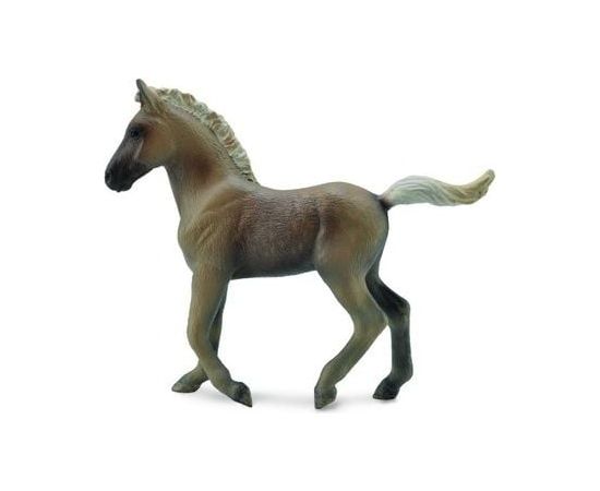 Figurka Collecta Źrebię rasy Rocky Mountain (COLL0509) Фигурки и герои