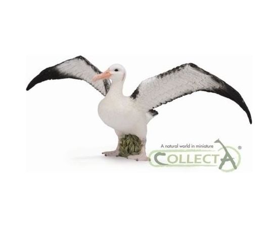 Figurka Collecta Albatros Wędrowny Figūriņas un varoņi