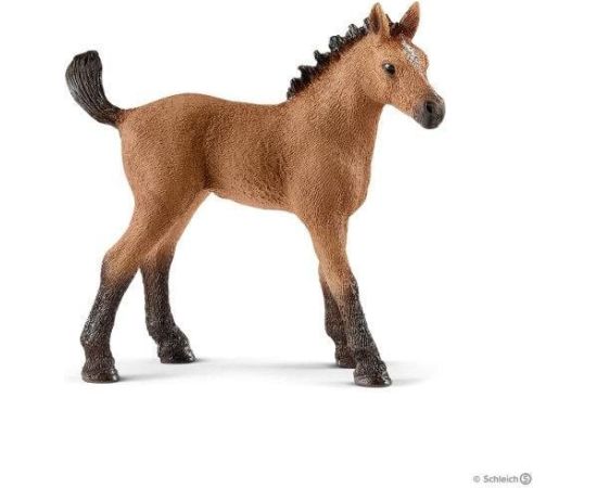 Figurka Schleich Źrebię rasy Quarter (SLH 13854) Фигурки и герои