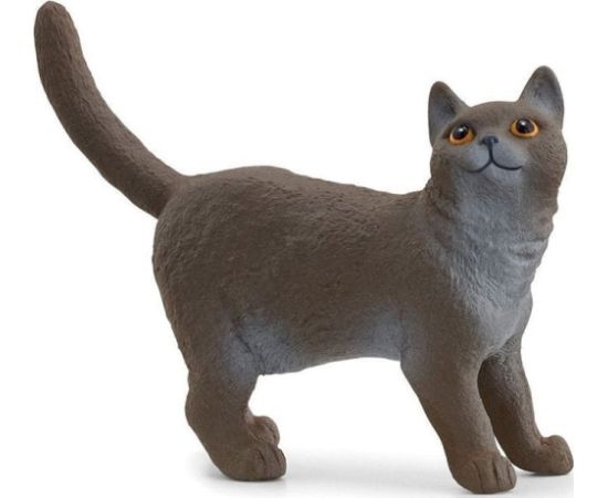 Figurka Schleich Schleich 13973 Kot brytyjski króktowłosy Фигурки и герои