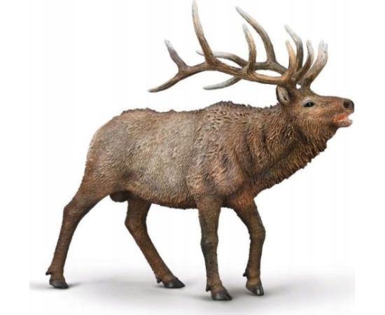 Figurka Collecta COLLECTA JELEŃ KANADYJSKI Фигурки и герои