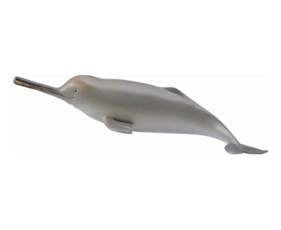 Figurka Collecta Delfin z rzeki Ganges (004-88611) Фигурки и герои