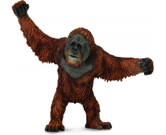 Figurka Collecta Orangutan (004-88730) Figūriņas un varoņi