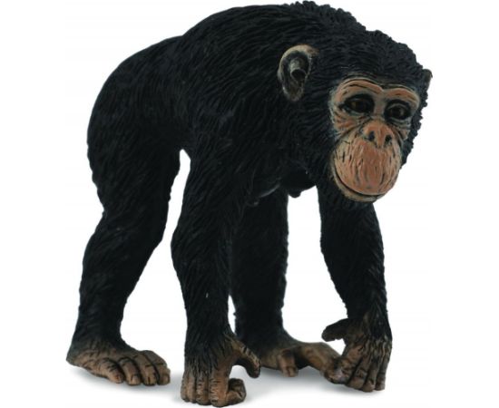 Figurka Collecta Szympans samica (004-88493) Figūriņas un varoņi