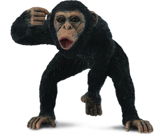Figurka Collecta Szympans samiec 88492 COLLECTA - 004-88492 Figūriņas un varoņi