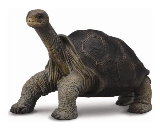 Figurka Collecta Żółw z Wyspy Pinta (004-88619) Figūriņas un varoņi