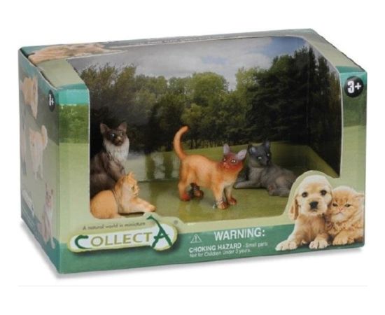 Figurka Collecta COLLECTA ZESTAW 4 KOTÓW W OPAKOWANIU Фигурки и герои