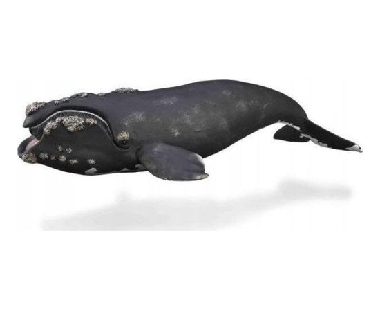 Figurka Collecta COLLECTA WALEŃ Фигурки и герои