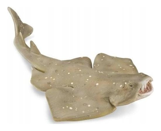 Figurka Collecta COLLECTA RASZPLA ZWYCZAJNA Figūriņas un varoņi