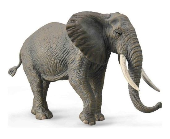 Figurka Collecta COLLECTA SŁOŃ AFRYKAŃSKI Фигурки и герои