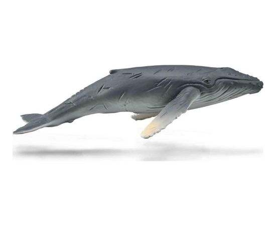 Figurka Collecta COLLECTA HUMBAK MŁODY Figūriņas un varoņi