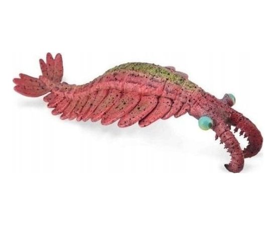 Figurka Collecta COLLECTA ANOMALOCARIS Фигурки и герои