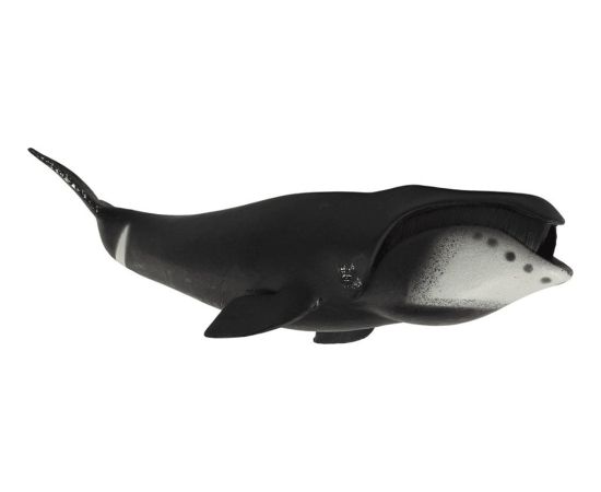 Figurka LeanToys Duża Figurka Kolekcjonerska Wieloryb Grenlandzki Figūriņas un varoņi