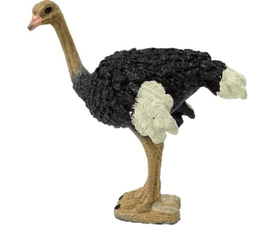 Figurka LeanToys Figurka kolekcjonerska Struś Seria Zwierzęta Świata Figūriņas un varoņi