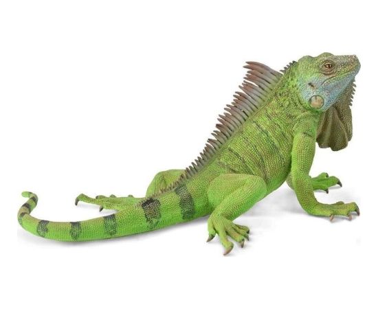Figurka Collecta COLLECTA IGUANA Figūriņas un varoņi
