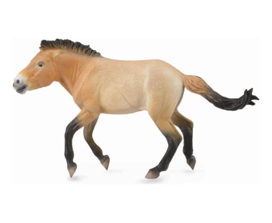 Figurka Collecta Ogier Przewalski (88602) Фигурки и герои