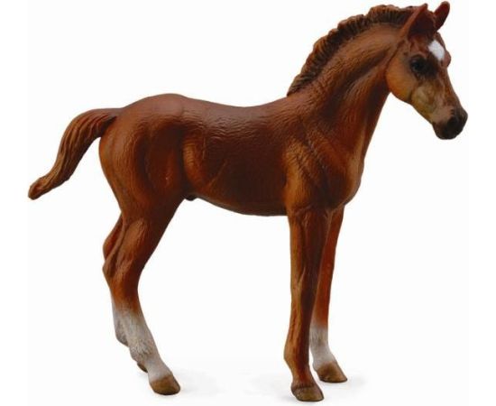 Figurka Collecta Źrebię Thoroughbred (88671) Figūriņas un varoņi