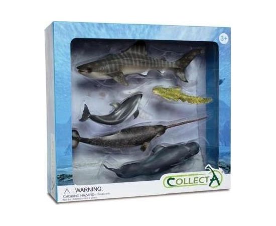 Figurka Collecta Zestaw 5 morskich zwierząt w opakowaniu 89671 COLLECTA Фигурки и герои