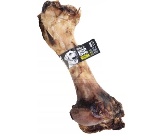 BULT Front beef bone - dog treat - 1pcs Suņu barība
