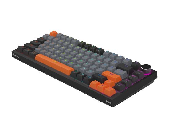 Savio ASTRAL BLACK JADE 3 COLOURS keyboard Gaming USB QWERTY US International Клавиатуры