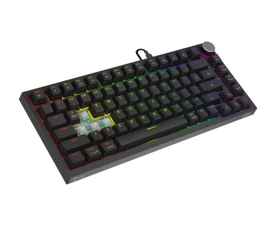 Savio ASTRAL BLACK JADE keyboard Gaming USB QWERTY US International Клавиатуры