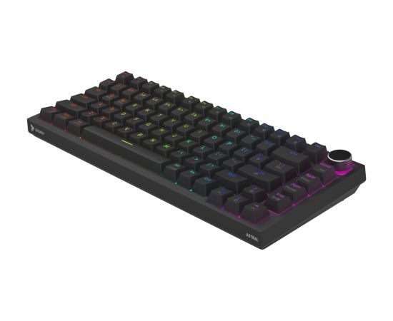 Savio ASTRAL BLACK JADE keyboard Gaming USB QWERTY US International Клавиатуры