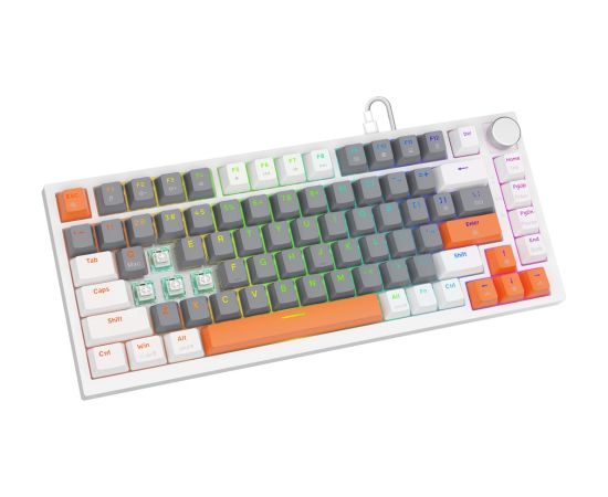 Savio ASTRAL WHITE JADE 3 COLOURS keyboard Gaming USB QWERTY US International Клавиатуры