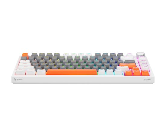 Savio ASTRAL WHITE JADE 3 COLOURS keyboard Gaming USB QWERTY US International Клавиатуры
