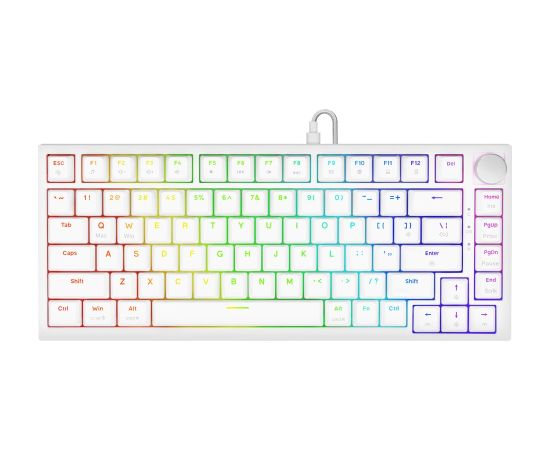 Savio ASTRAL WHITE JADE keyboard Gaming USB QWERTY US International Клавиатуры