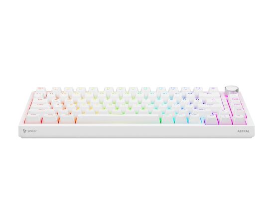 Savio ASTRAL WHITE JADE keyboard Gaming USB QWERTY US International Клавиатуры