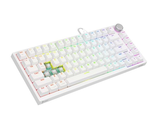 Savio ASTRAL WHITE JADE keyboard Gaming USB QWERTY US International Клавиатуры
