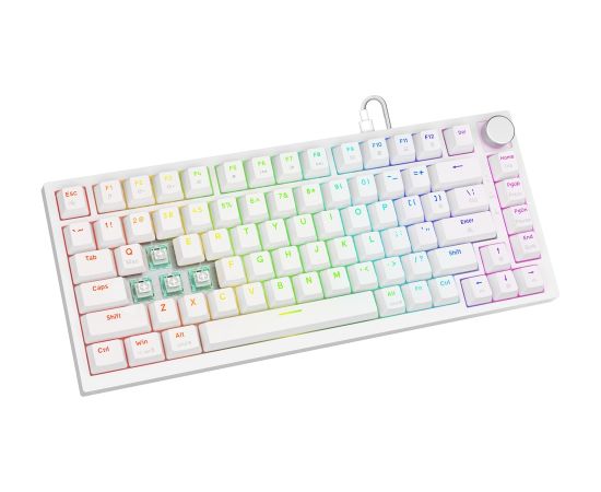 Savio ASTRAL WHITE JADE keyboard Gaming USB QWERTY US International Клавиатуры