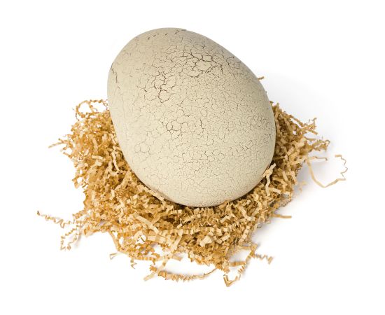 PRIMAL HATCH Интерактивная игрушка Вылупляющийся динозавр Новости - Детские товары