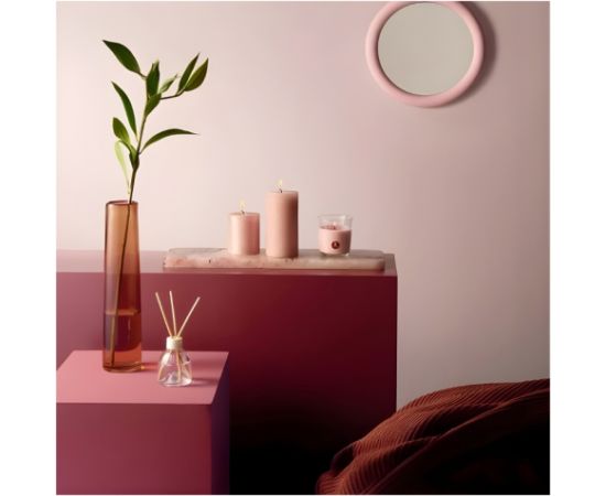 Bolsius Dāvanu komplekts Home Sweet Home magnolia Sveces un svečturi