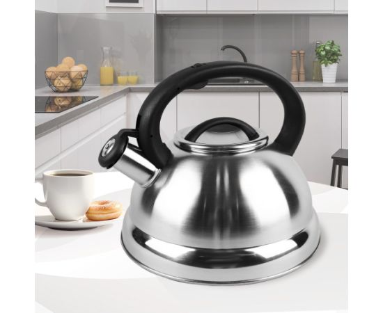 Non-electric kettle MAESTRO MR-1313 Чайники (со свистком)