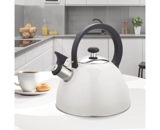 Czajnik nieelektryczny 2,5L MR-1302-WG MAESTRO Чайники (со свистком)